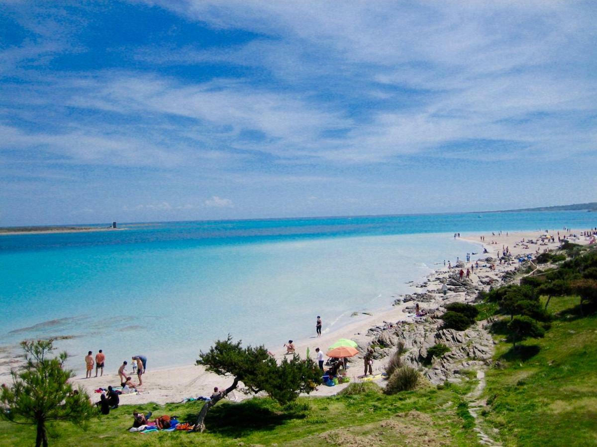 Appartamento Aria 150M Dal Mare Castelsardo Bagian luar foto
